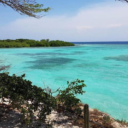 Palmhouse Apartments Aruba 1- 4 Persons Savaneta Εξωτερικό φωτογραφία
