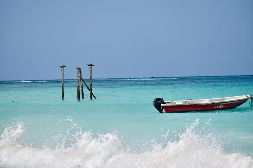 Palmhouse Apartments Aruba 1- 4 Persons Savaneta Εξωτερικό φωτογραφία