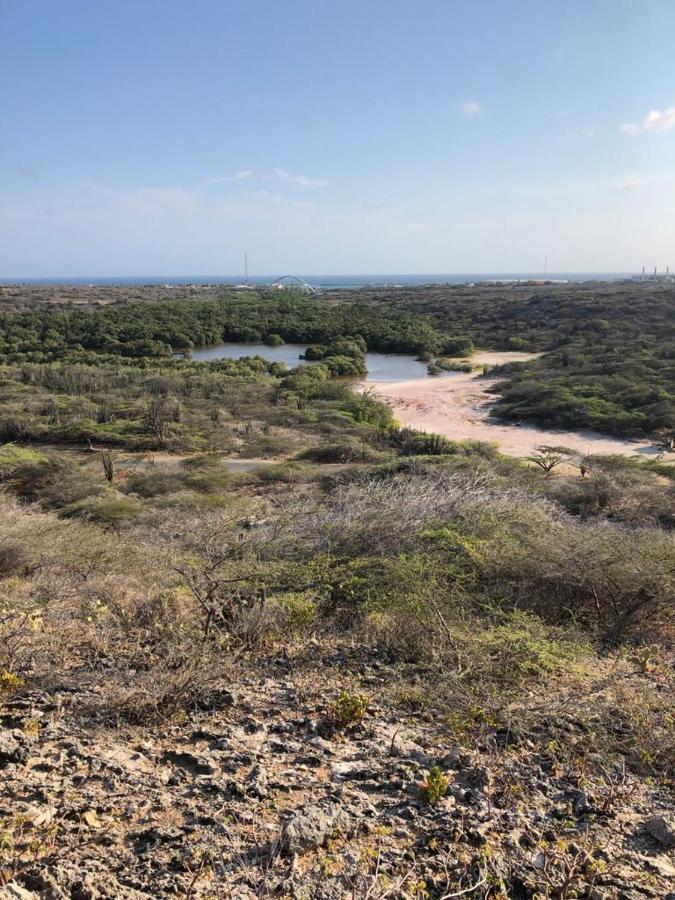 Palmhouse Apartments Aruba 1- 4 Persons Savaneta Εξωτερικό φωτογραφία