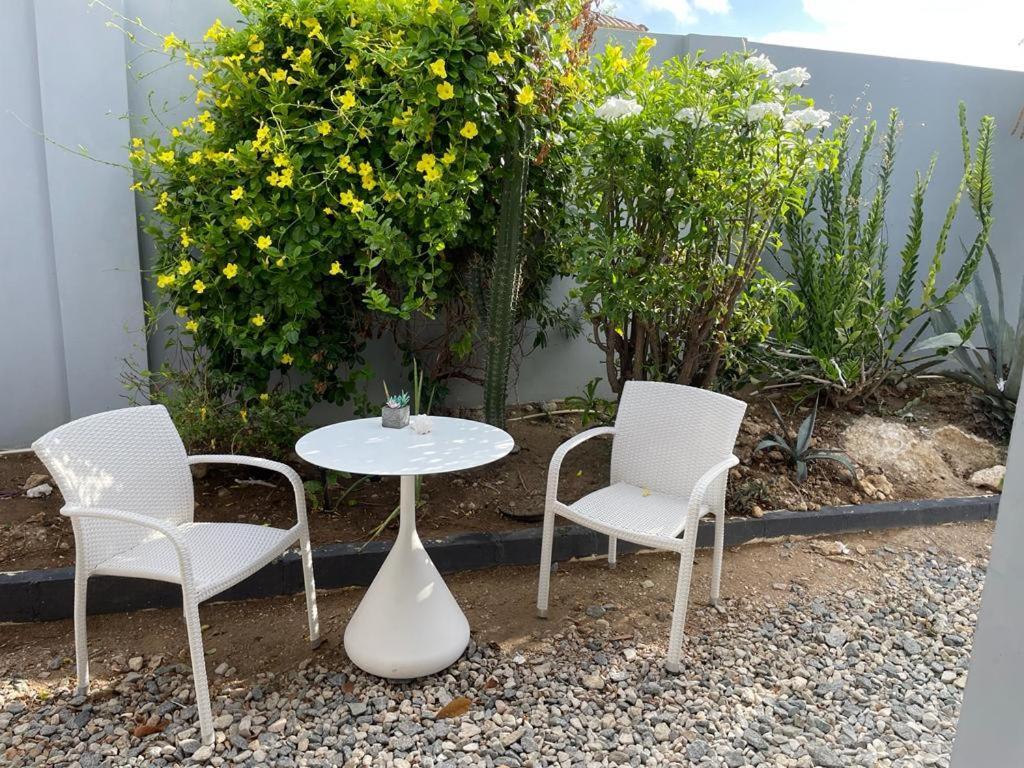 Palmhouse Apartments Aruba 1- 4 Persons Savaneta Εξωτερικό φωτογραφία