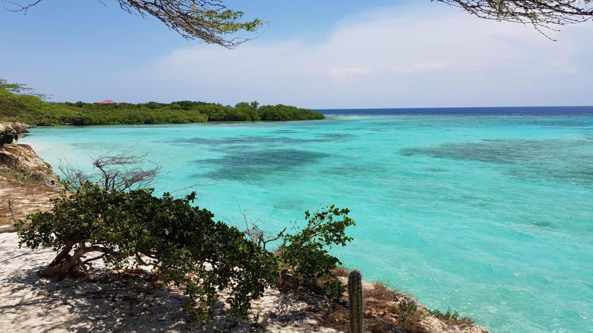 Palmhouse Apartments Aruba 1- 4 Persons Savaneta Εξωτερικό φωτογραφία