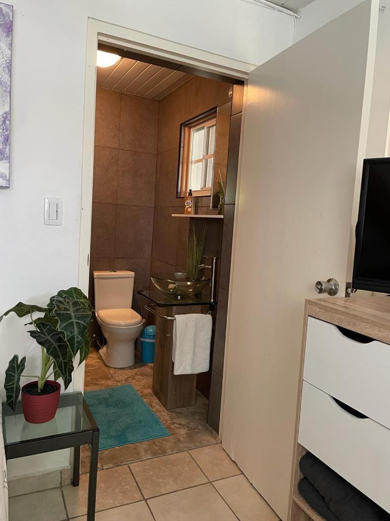 Palmhouse Apartments Aruba 1- 4 Persons Savaneta Εξωτερικό φωτογραφία