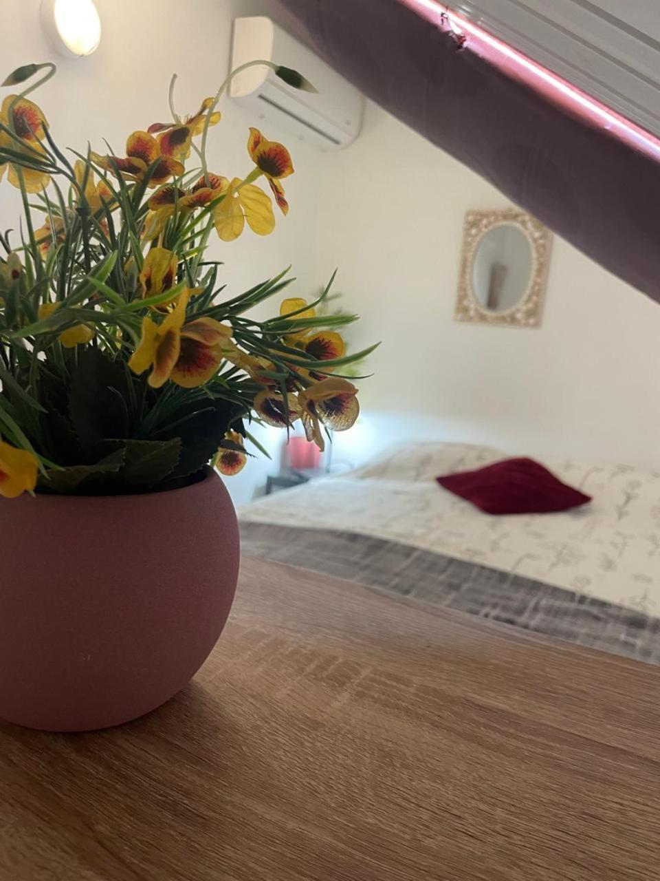 Palmhouse Apartments Aruba 1- 4 Persons Savaneta Εξωτερικό φωτογραφία