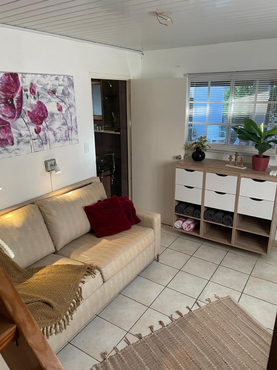 Palmhouse Apartments Aruba 1- 4 Persons Savaneta Εξωτερικό φωτογραφία