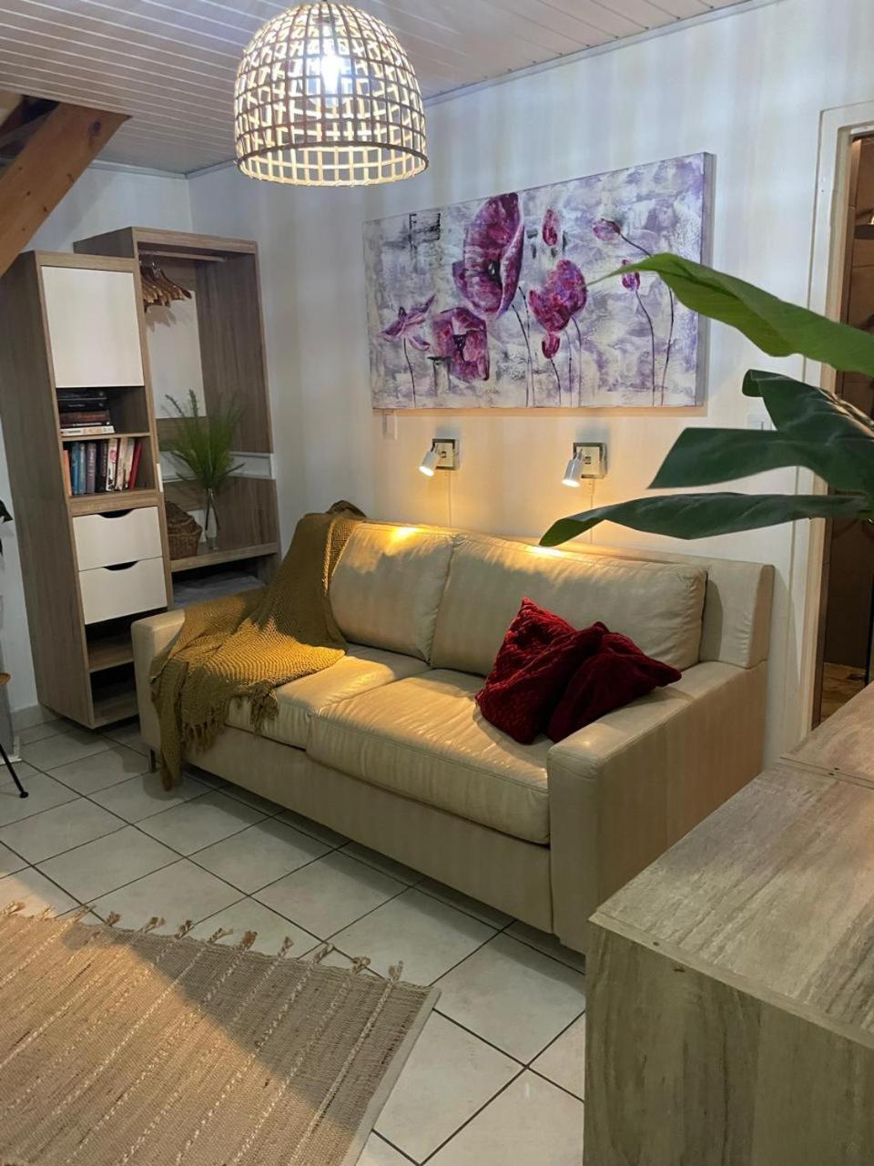 Palmhouse Apartments Aruba 1- 4 Persons Savaneta Εξωτερικό φωτογραφία