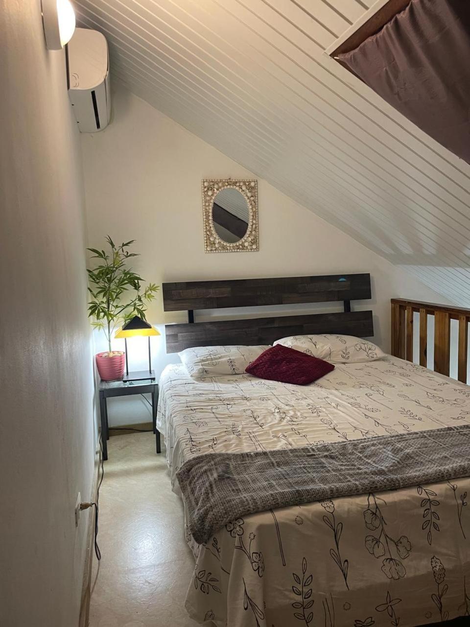 Palmhouse Apartments Aruba 1- 4 Persons Savaneta Εξωτερικό φωτογραφία