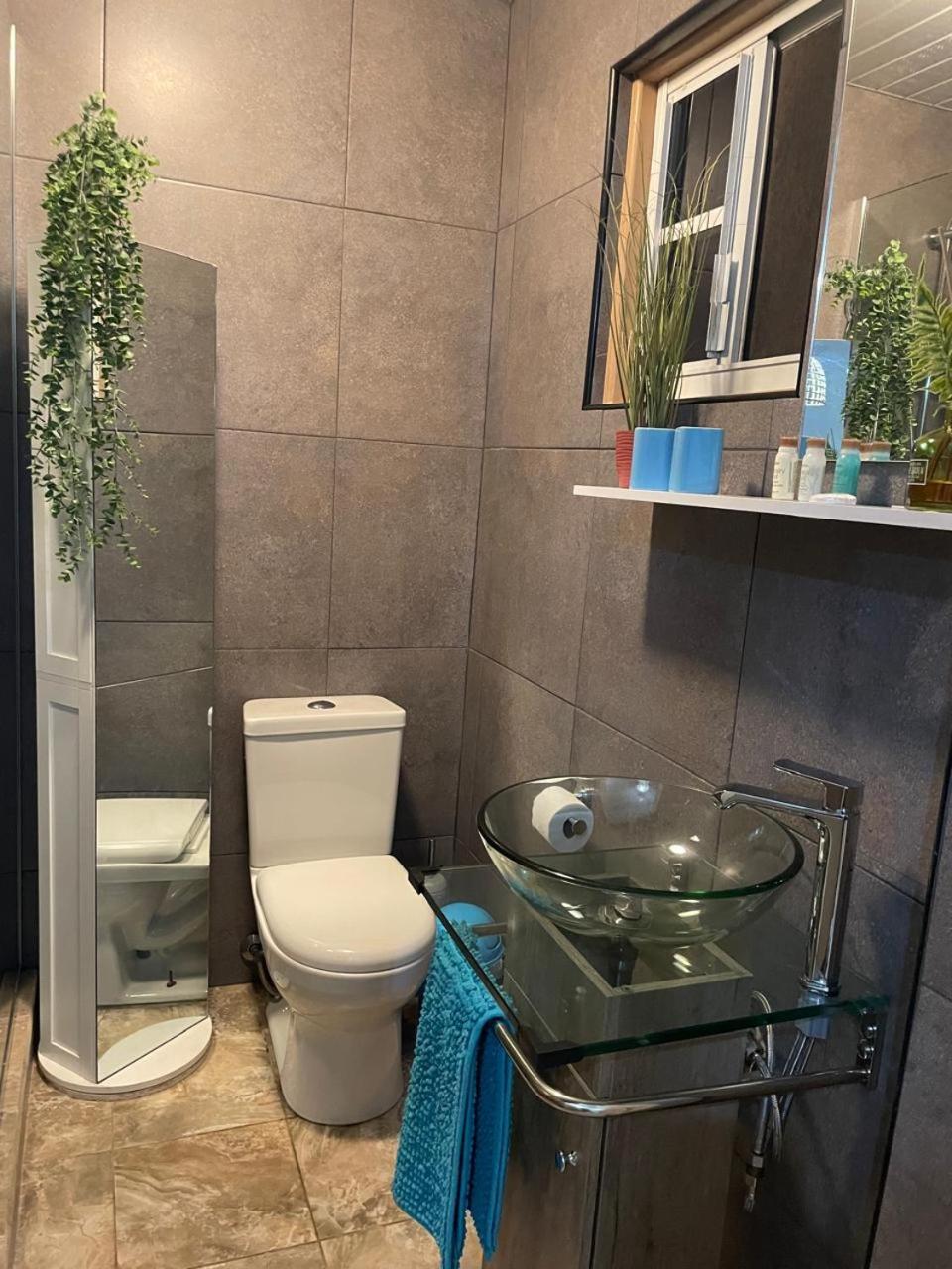 Palmhouse Apartments Aruba 1- 4 Persons Savaneta Εξωτερικό φωτογραφία